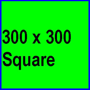 Square 300 300